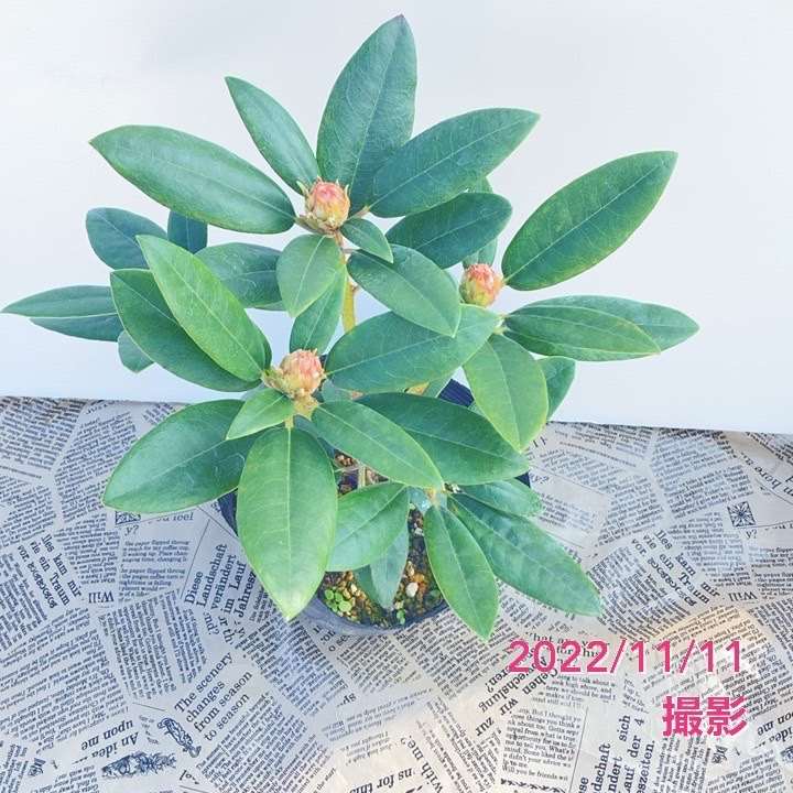 赤木 曠児郎 【ラ・デファンスの新凱旋門】 希少画集画、状態良好 赤木曠児郎、ラ・デファンスの新凱旋門、希少画集画、新品高級額