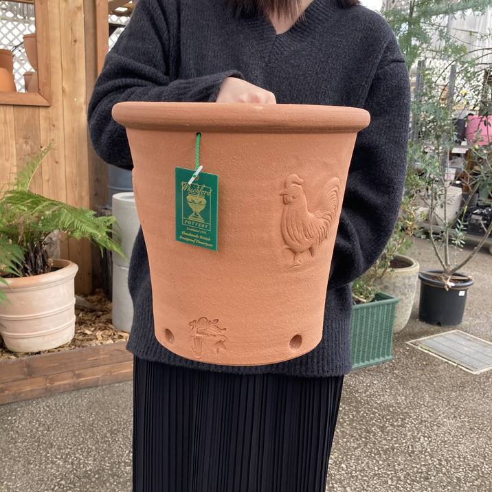 テラコッタ鉢 ウィッチフォード Whichford Cockerel Pot 793