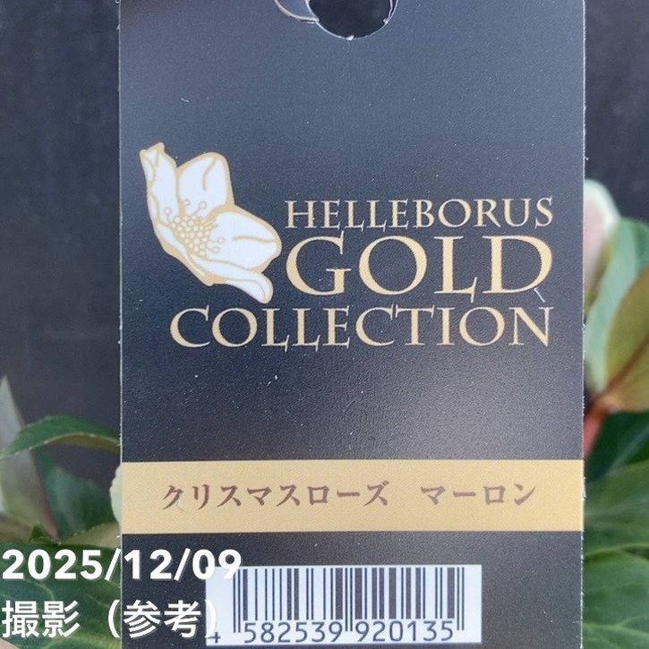 リピーター様♡ローズGaden様御まとめ御購入品＊ リピーター様ローズGaden様4セット御まとめ御購入品♡