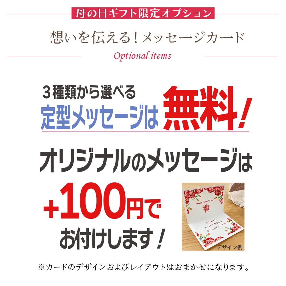 母の日ギフト2025 カーネーション いちごキャンディ 6号|鉢花10-TU