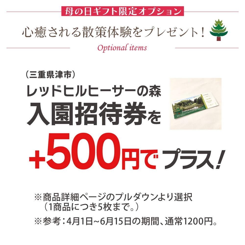 母の日ギフト2025 カーネーション いちごキャンディ 6号|鉢花10-TU
