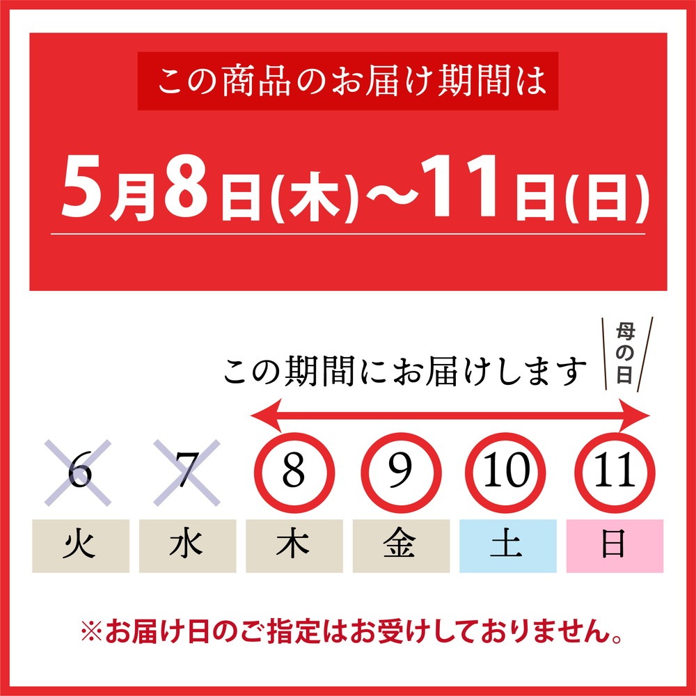 母の日ギフト2025 カーネーション いちごキャンディ 6号|鉢花10-TU