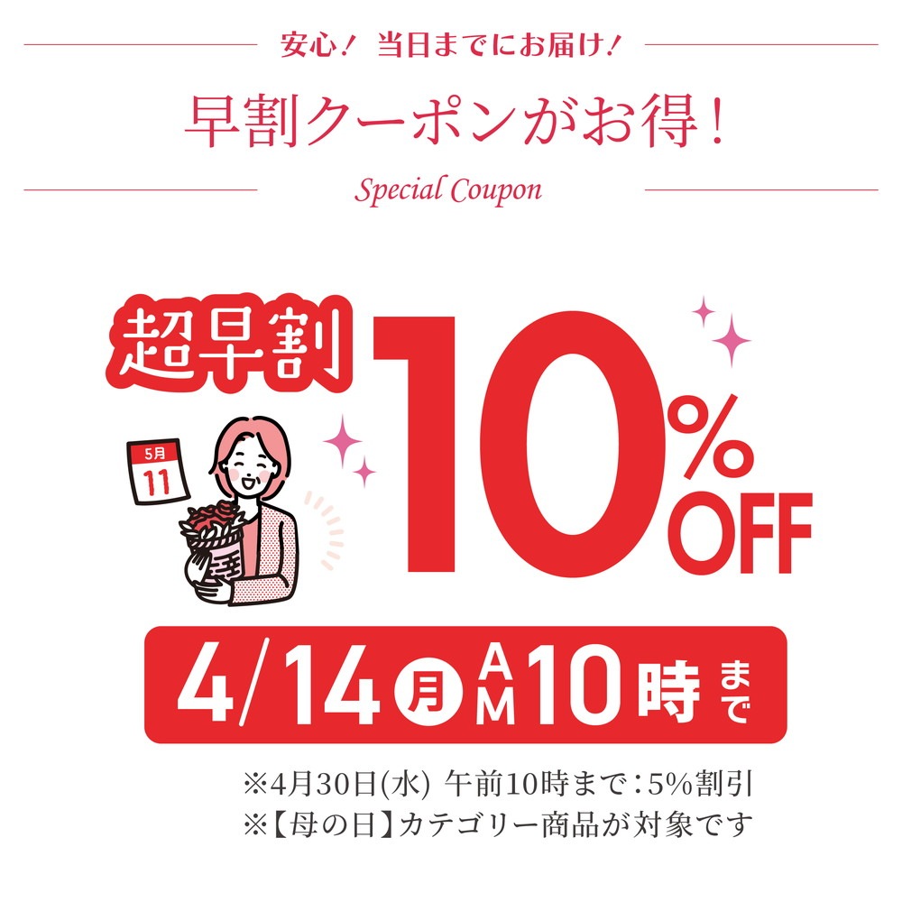 母の日ギフト2025 カーネーション いちごキャンディ 6号|鉢花10-TU