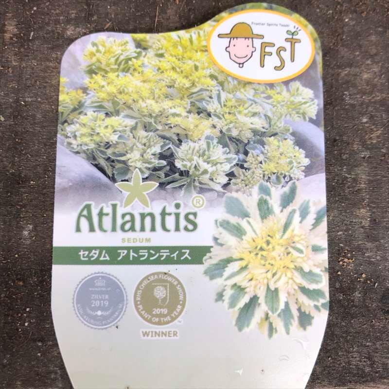 植物セット 東京優芳園｜魔法の土®と種子セット