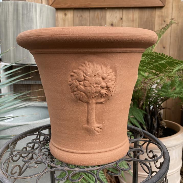 テラコッタ鉢 ウィッチフォード Whichford RHS Apple Tree Pot
