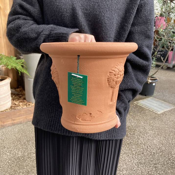 テラコッタ鉢 ウィッチフォード Whichford RHS Apple Tree Pot rhs18