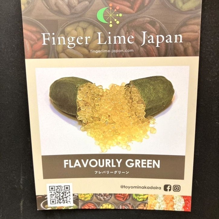 こるふぁーむ フィンガーライム 5号 フレバリーグリーン（代引き不可