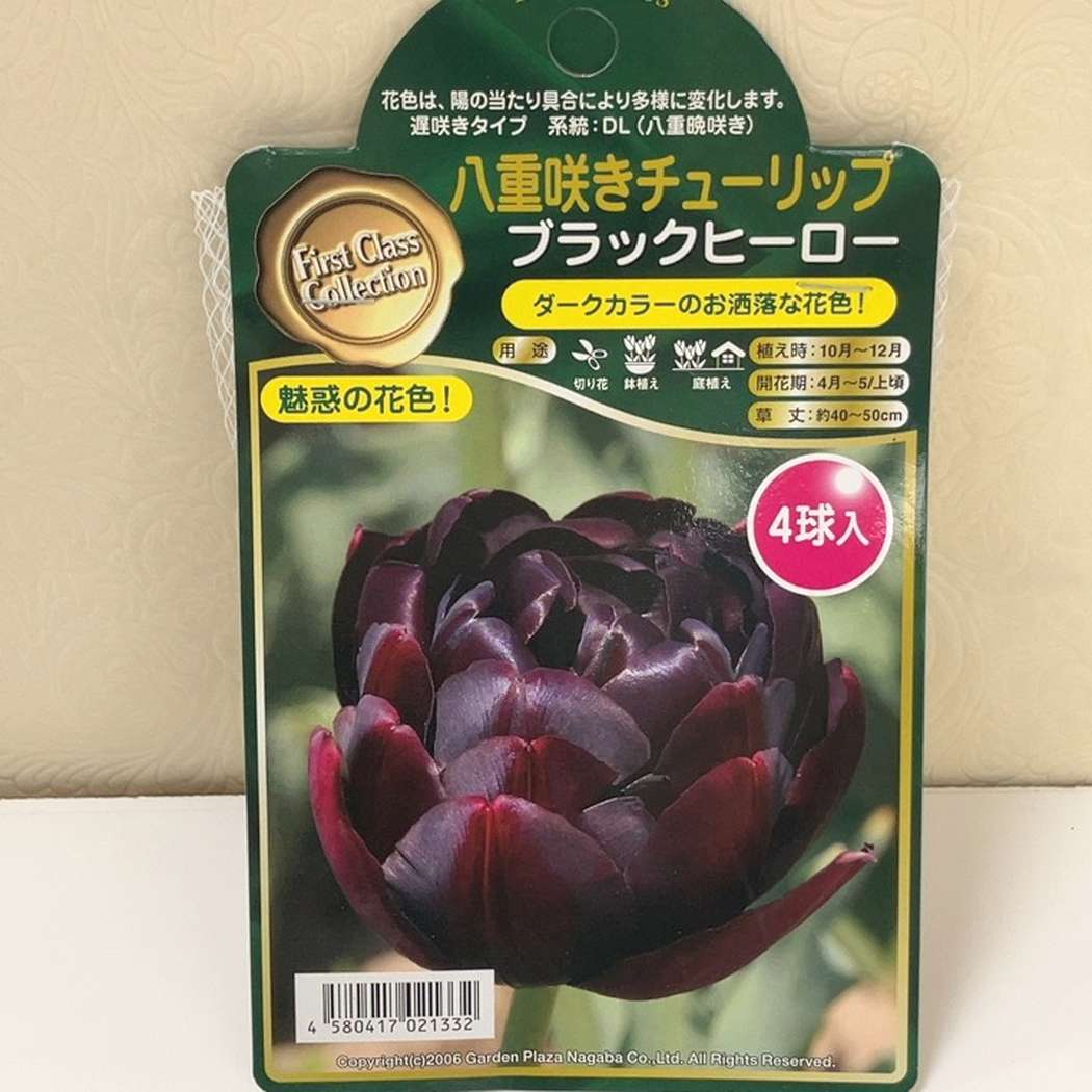 八重咲きチューリップ ブラックヒーロー 4球入り×2袋セット｜球根04-PA