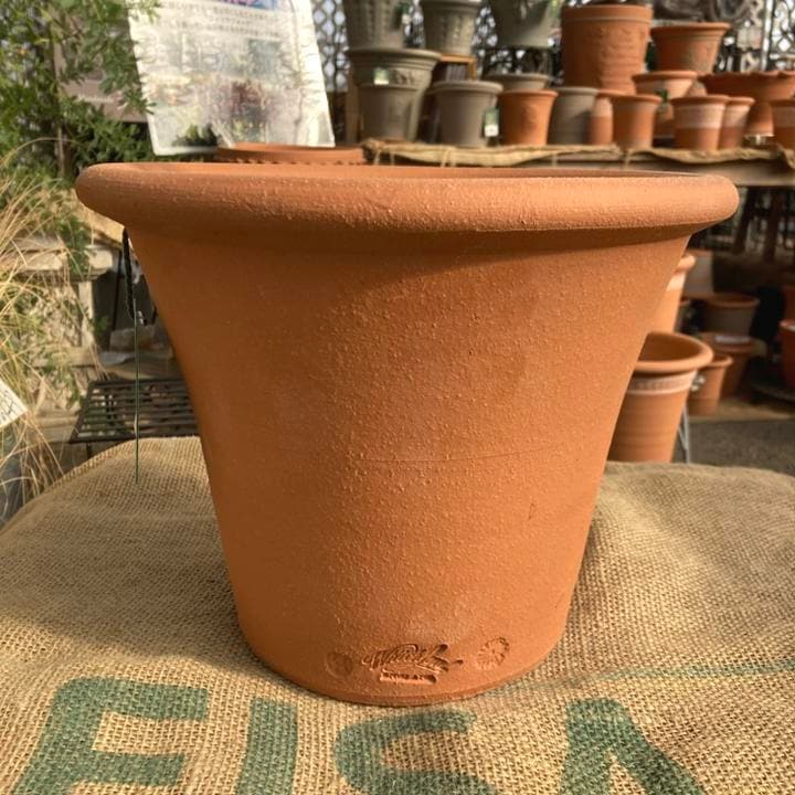 テラコッタ鉢 ウィッチフォード Whichford Salamander Pot 215ss