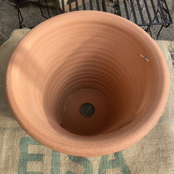 テラコッタ鉢 ウィッチフォード Whichford Salamander Pot 215ss