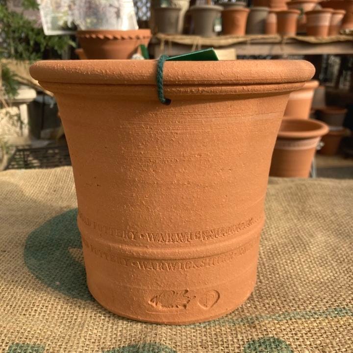 テラコッタ鉢 ウィッチフォード Whichford Buxus Pot 6416（代引き不可