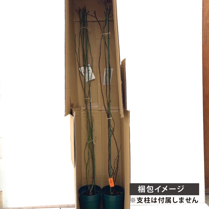 ツブリー※バラ売り不可 2010価格表html。 日本ばら園 減農薬バラ苗生産販売専門店、年