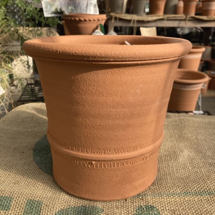 テラコッタ鉢 ウィッチフォード Whichford Buxus Pot 649 テラコッタ鉢 ウィッチフォード Whichford Buxus Pot 649
