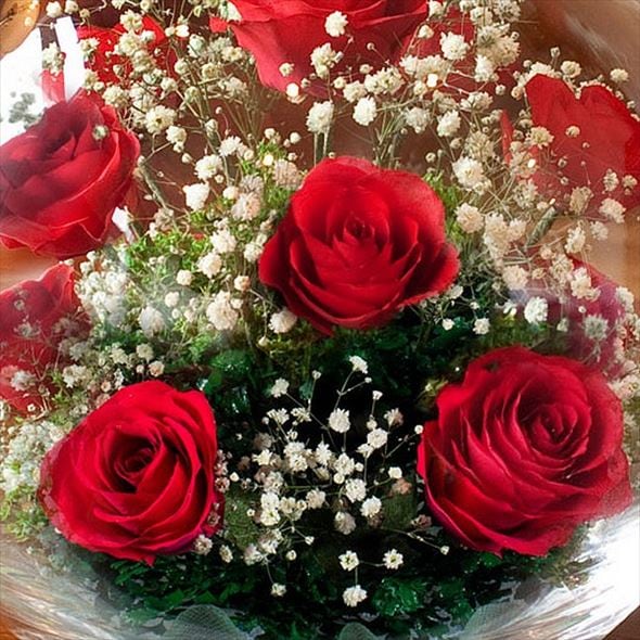 レンデフロールプリザーブドフラワー 置物ピンク薔薇バラかすみ草