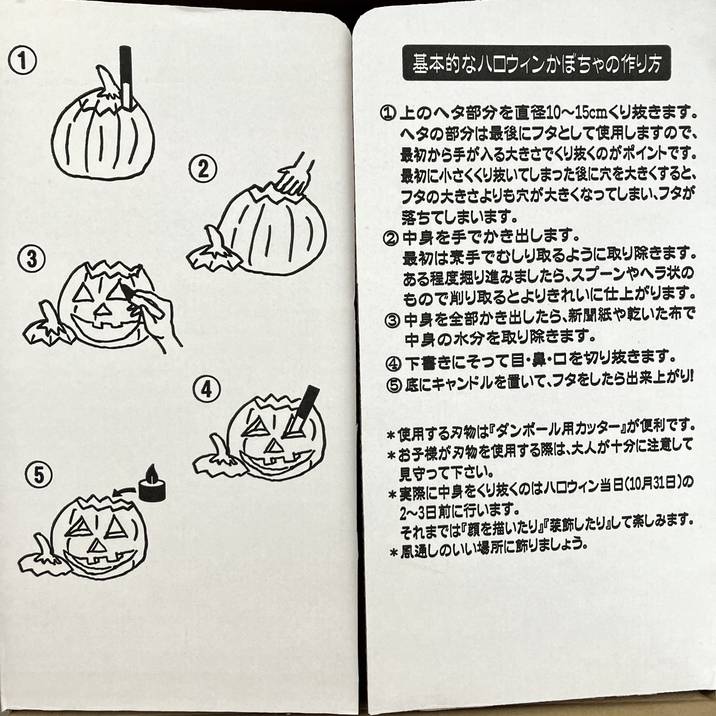 【あかなまこ】ハロウィンかぼちゃ　本物　直径28〜30cm  2個入り ハロウィン用おもちゃかぼちゃ：ミックス 2個セット の通販