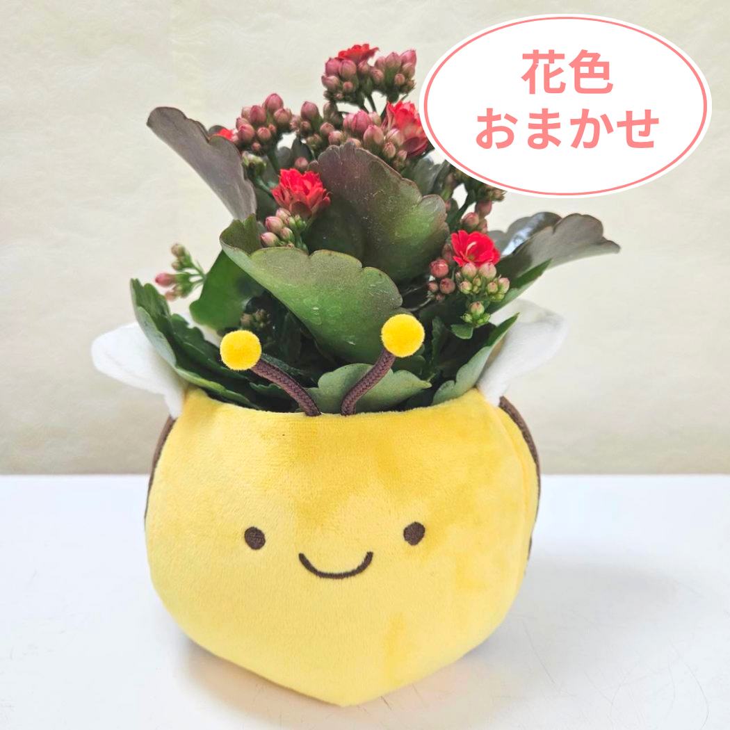 母の日ギフト2026「ありがとう」を届ける オリジナルフラワー