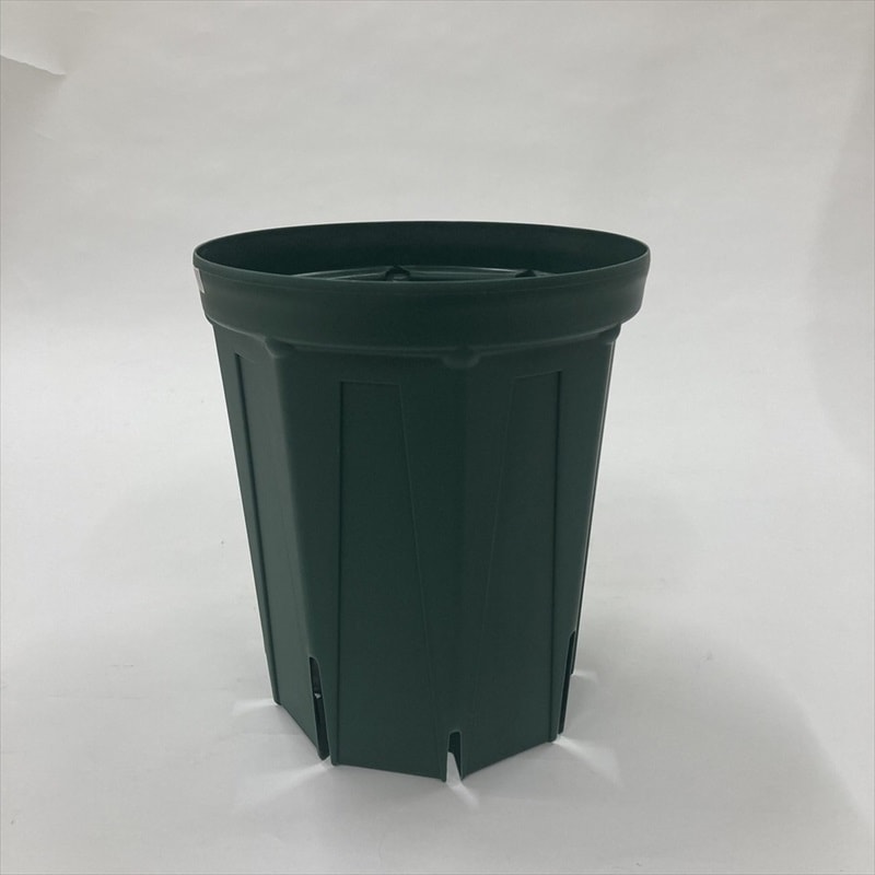 根詰まりしにくい！一回り大きな鉢植えには、スリット鉢 8号ロング