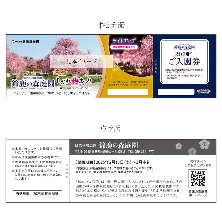 1名様用＞世界に誇るしだれ梅の庭園 鈴鹿の森庭園 梅満喫セット