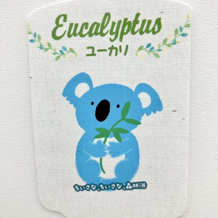 レア種　ユーカリ　ペリニアナ seeds-00009_3.jpg