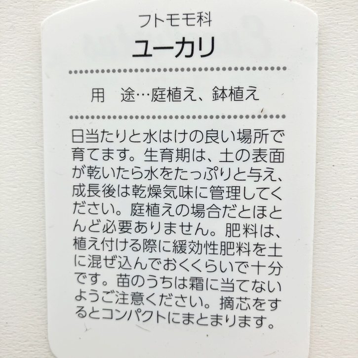 ユーカリ ブリッジシアナ 5号|花木04-PA
