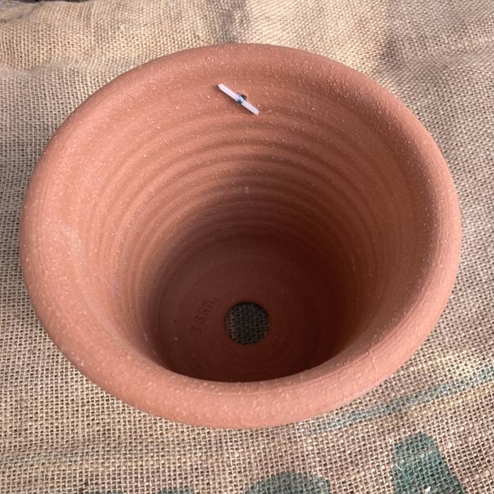 テラコッタ鉢 ウィッチフォード Whichford Poppy Pot 1357（代引き不可