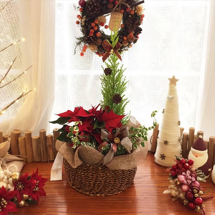 冬ギフト クリスマス フラワーバスケット ジングル ベル フラワーアレンジメント Pa 04鉢花 ギフト フラワーバスケット アレンジ 赤塚植物園オンライン 花の音 冬ギフト クリスマス フラワーバスケット ジングル ベル フラワーアレンジメント Pa 04鉢花 ギフト フラワーバスケット アレンジ 赤塚植物園オンライン 花の音