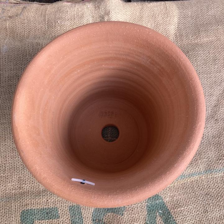 テラコッタ鉢 ウィッチフォード Whichford Poppy Pot 1356P（代引き