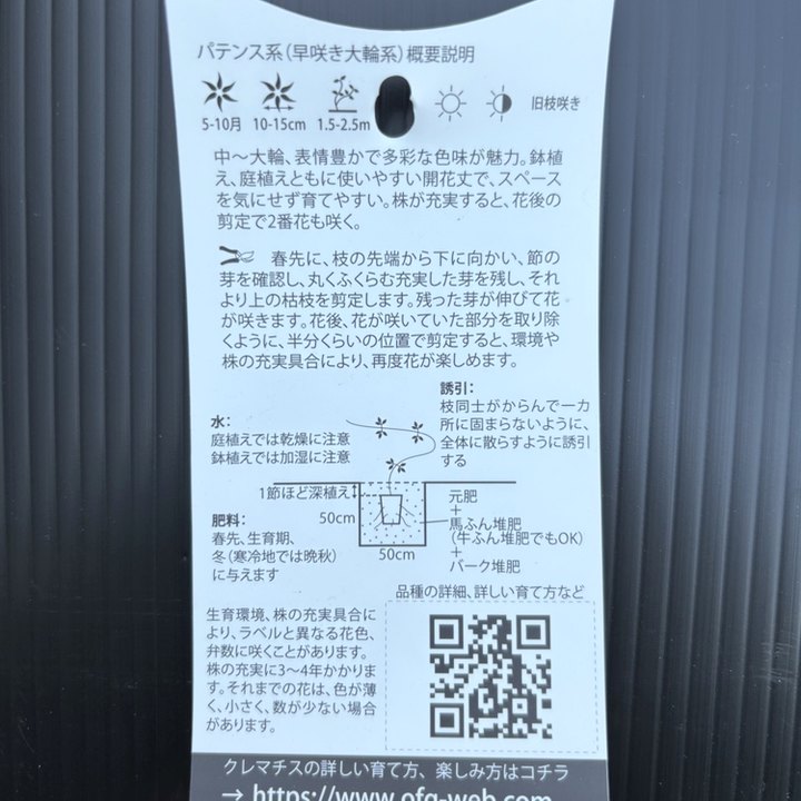 クレマチス パテンス系(早咲き大輪系)ことのは 4号|草花04-PA