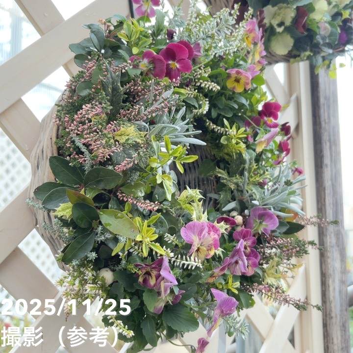 【現品お届け】彩り豊かな季節の寄せ植えリース AS11|草花04-PA