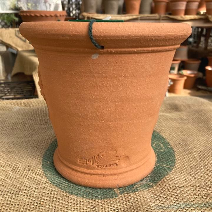 テラコッタ鉢 ウィッチフォード Whichford Wisley Apple Tree Pot