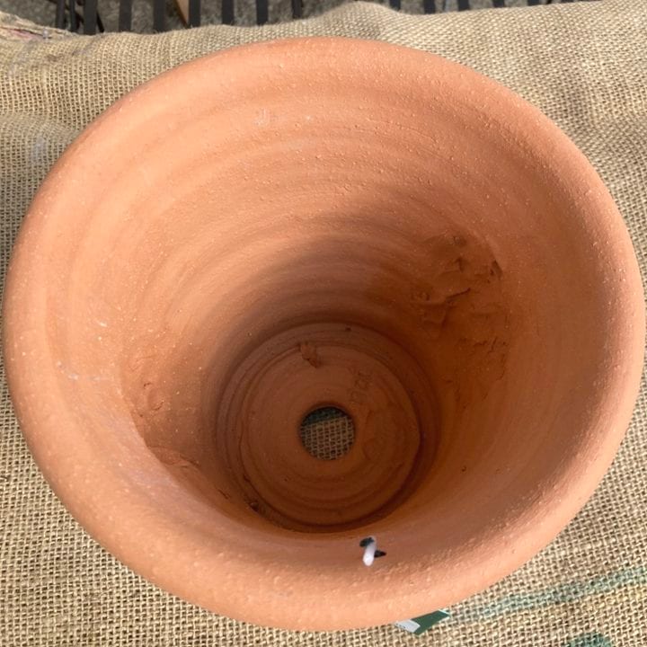 テラコッタ鉢 ウィッチフォード Whichford Wisley Apple Tree Pot