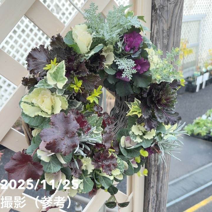 【現品お届け】彩り豊かな季節の寄せ植えリース AS12|草花04-PA