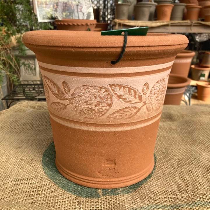 テラコッタ鉢 ウィッチフォード Whichford Clementine Pot 1320P