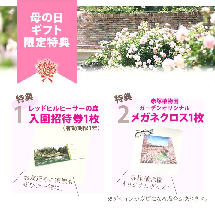 【お届け5/12以降】母の日ギフト2026 レッドヒルヒーサーの森 年間パスポート引換券<特典 ご入園招待券1枚付き>※母の日ギフト早割クーポン対象外|そ他10-TU