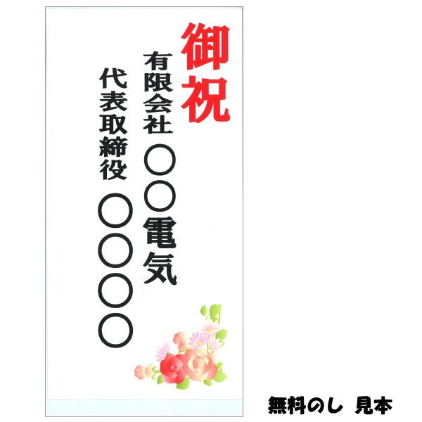 フラワーギフトの最高峰!純国産胡蝶蘭 3本立ち33輪タイプ ※送料込|洋蘭10-SZ