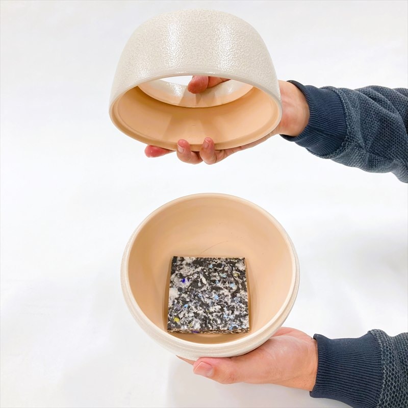 手軽にシンビジューム 選べる花色（ピンク・黄色・白）水やり楽ちん