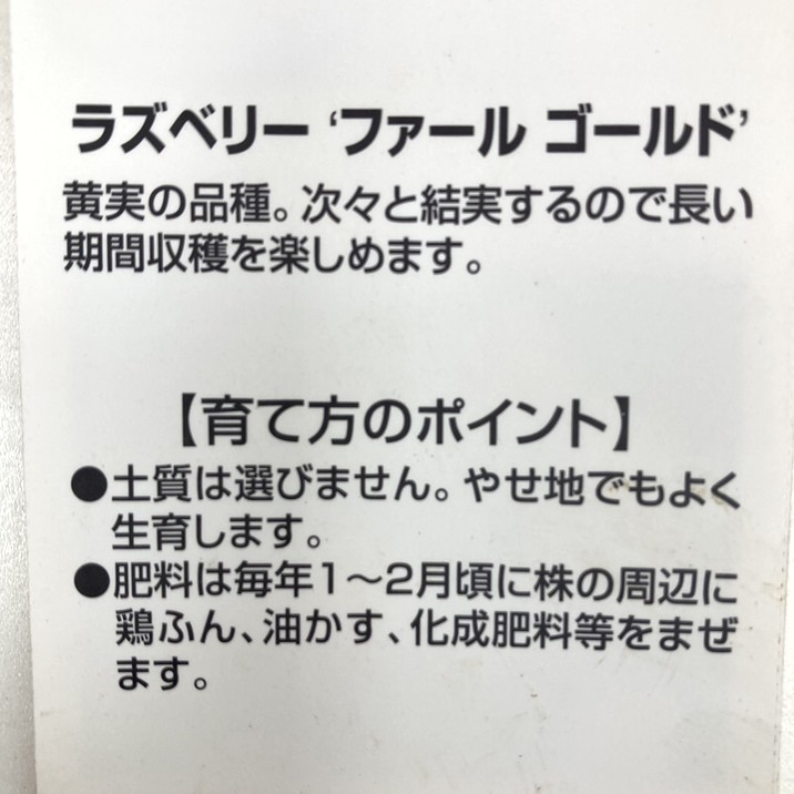 決算P5倍！10%OFF！8/2まで】ラズベリー ファールゴールド 3号×2鉢