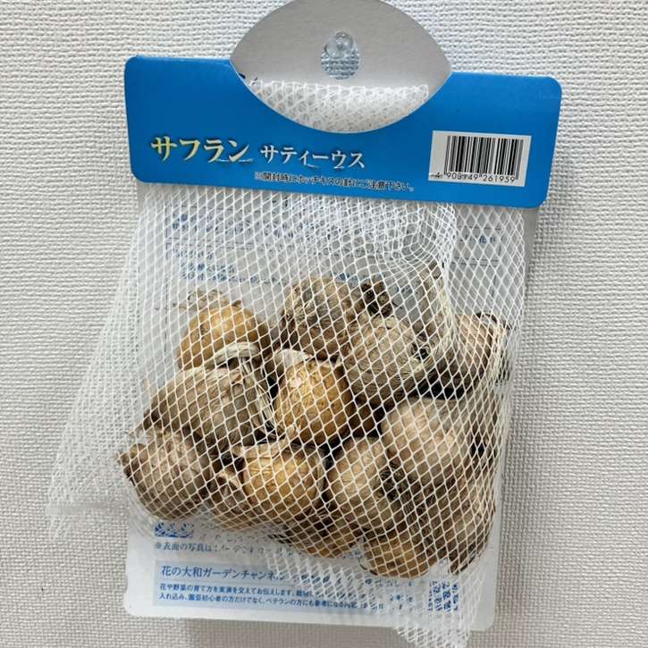 秋咲き球根 サフラン サティーウス 20球入り｜球根10-TU | タネ・球根