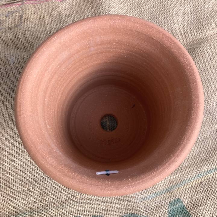 テラコッタ鉢 ウィッチフォード Whichford Poppy Pot 1356（代引き不可