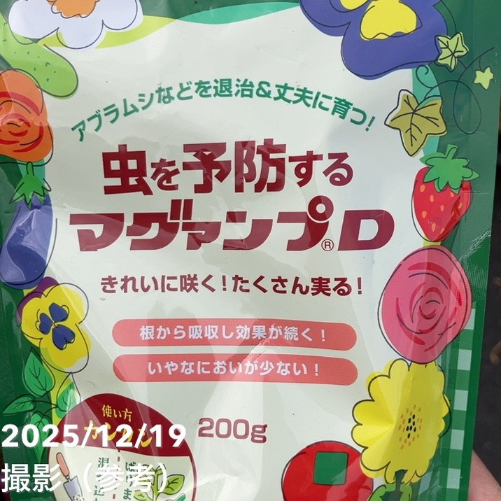 ラナンキュラス ラックス 7号 アフロディーテ|草花10-TU