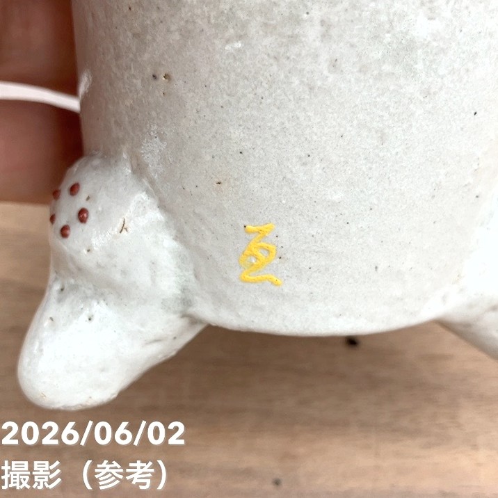 現品お届け】豊明園 万年青 オモト お多福（おたふく）錦鉢（O75