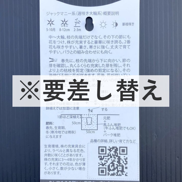 クレマチス インテグリフォリア系（木立性）アルバ 4.5号｜草花04-PA