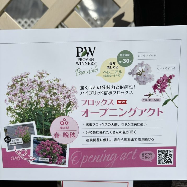 PW フロックス オープニングアクト ロマンス 11cmロングポット×2