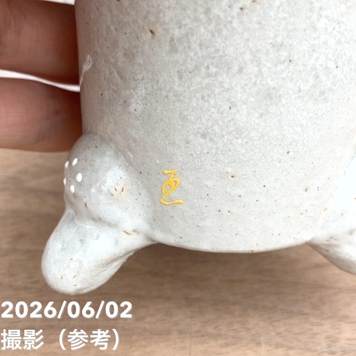 現品お届け】豊明園 万年青 オモト 鶴の舞（つるのまい） 錦鉢（O77