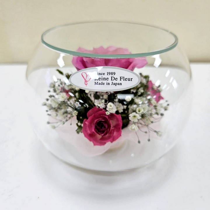 レンデフロール Bowl Type/Small S-C｜雑貨04-PA | インテリア・雑貨