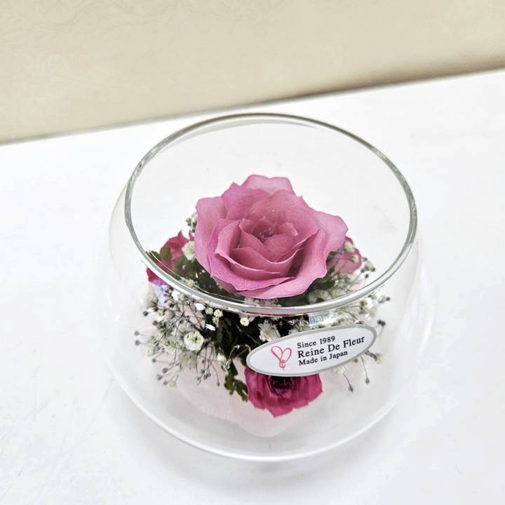 レンデフロール Bowl Type/Small S-C｜雑貨04-PA | インテリア・雑貨