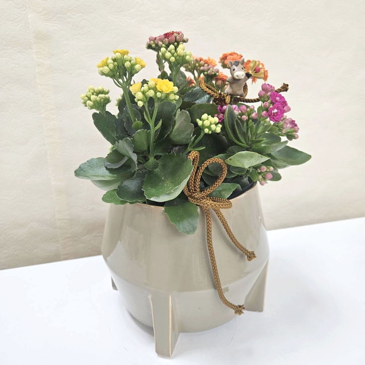 お正月ギフト フラワーバスケット 2026年干支 丑付き｜手作04-PA