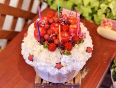 O-61 �֥ե����ե��� �ڥ��åץ�&�٥꡼�ۡ�