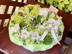 SU-05���֥��ȥ�뎥������ȥ���