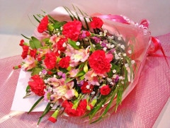 MO-07���֥����͡������Υ������㥹�ʤ���«��